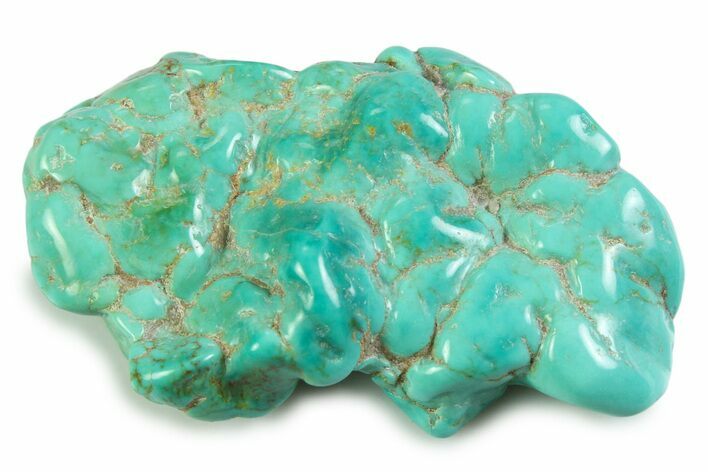 Polished Chilean Turquoise ( grams) Nugget #358835